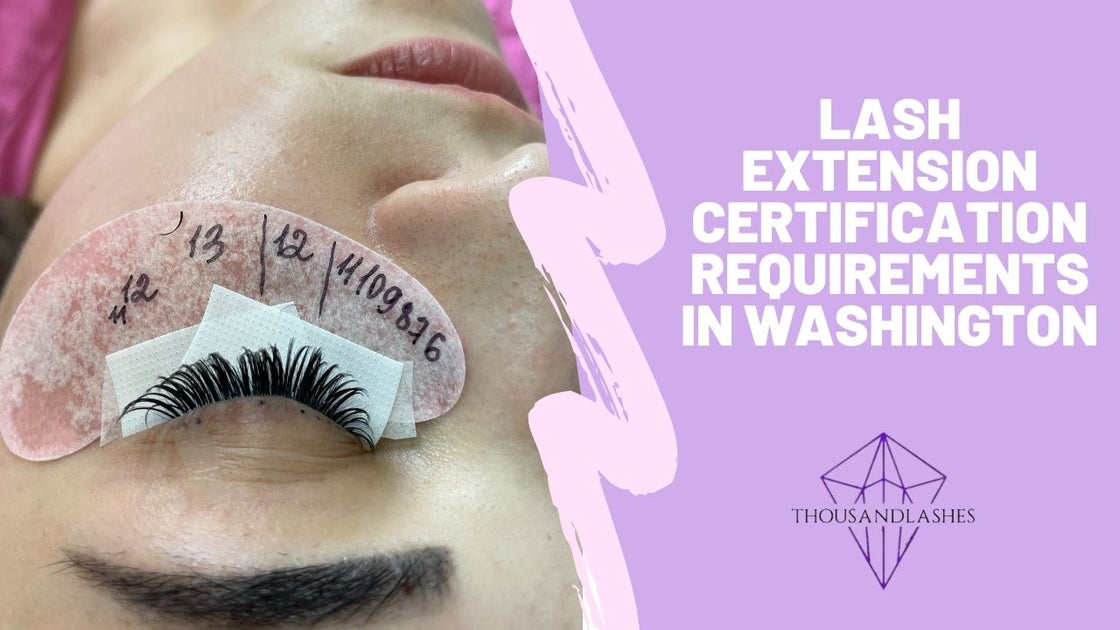Lash Extension Certification Requirements In Washington