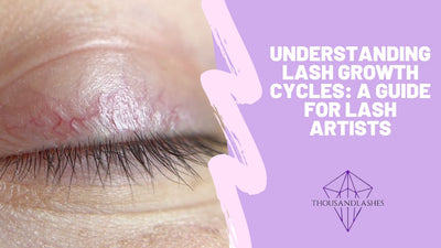 Understanding Lash Growth Cycles: A Guide For Lash Artists