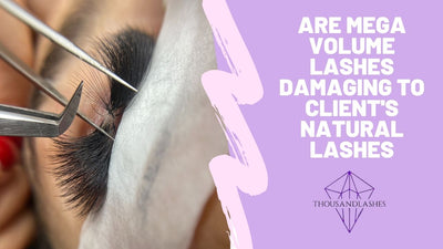 Are Mega Volume Lashes Damaging To Client's Natural Lashes