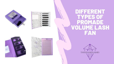 Different Types Of Promade Volume Lash Fan