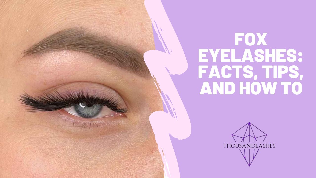 Fox Eyelashes Facts, Tips, and How To