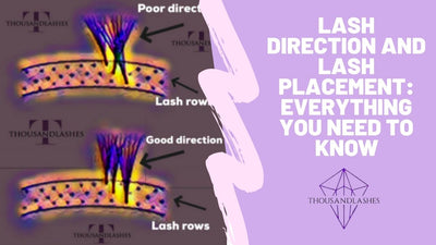 Lash Direction And Lash Placement: Everything You Need To Know