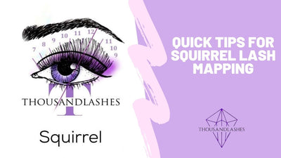 Quick Tips For Squirrel Lash Mapping