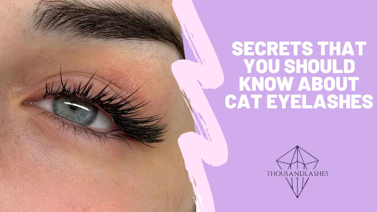 Secrets That You Should Know About Cat Eyelashes