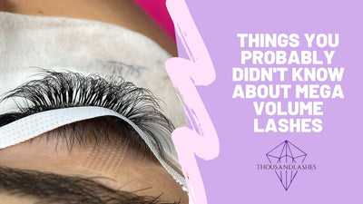 Things You Probably Didn't Know About Mega Volume Lashes