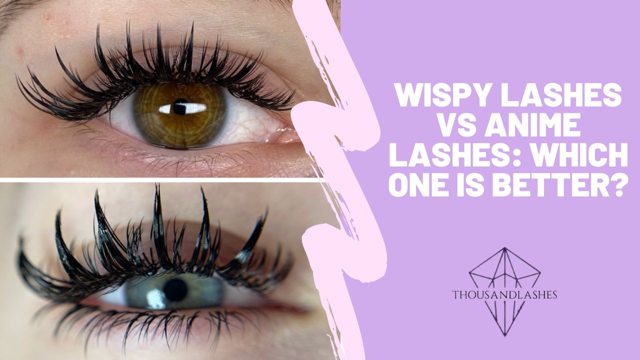 Wispy Lashes Vs Anime Lashes Which One Is Better