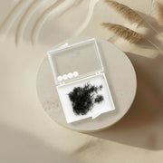 6D lash fans large box