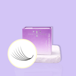 6D Pro-Made Lash Fans