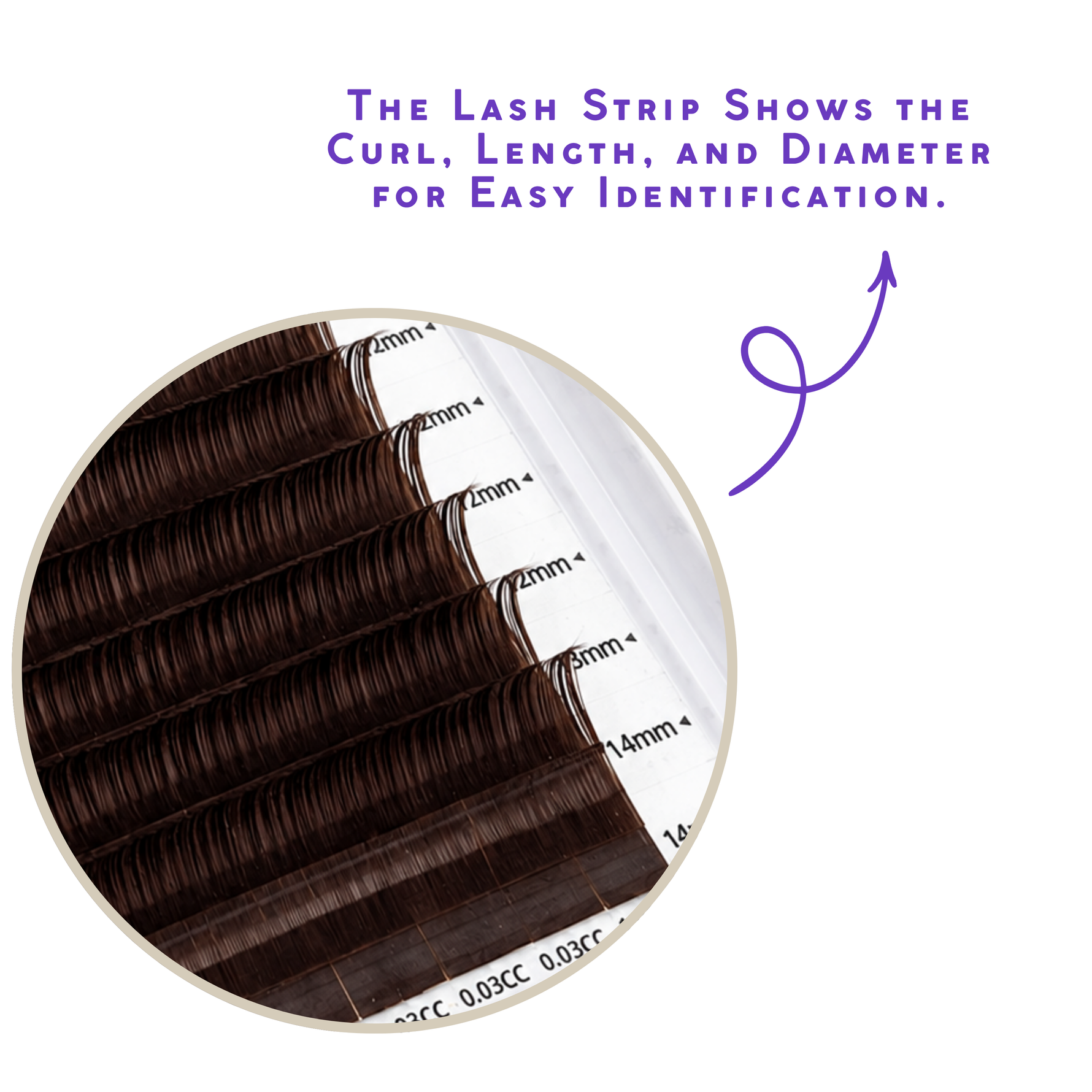 12 Trays Cashmere Brown Collection Volume Lashes showing brown lash strips with curl, length, and diameter labels