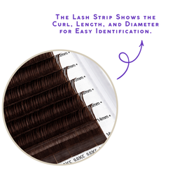 12 Trays Cashmere Brown Collection Volume Lashes showing brown lash strips with curl, length, and diameter labels