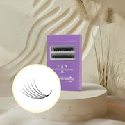 6D Organized Pro-Made Fans 0.07 Mixed Length 10-16mm