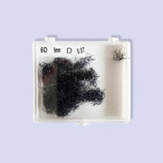 6d volume lashes d curl