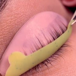 korean lash lift workshop