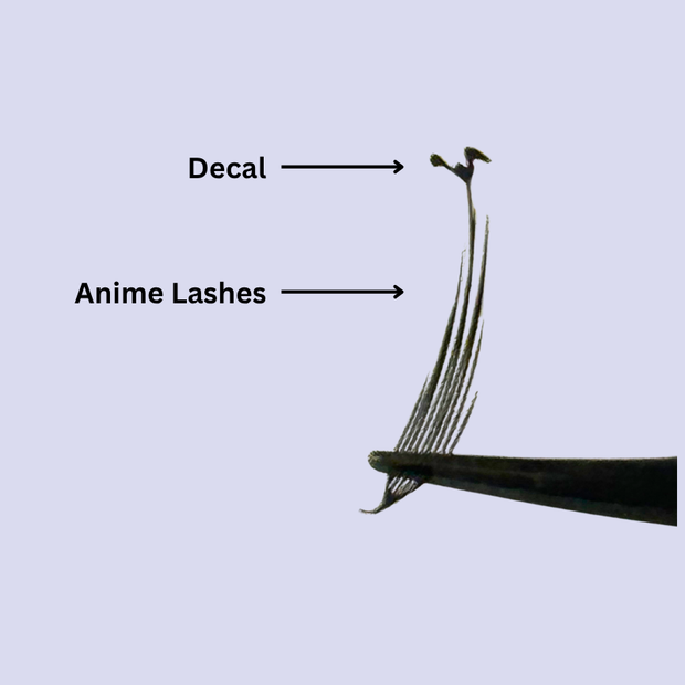 Anime lash extensions