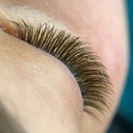 Brown Chocolate Lashes
