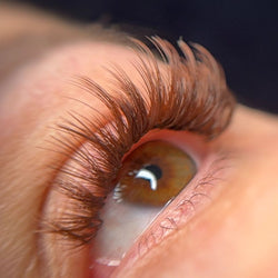 Brown Color Lashes