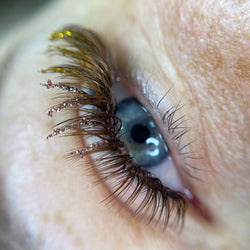 Brown Lashes
