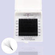 EASY FAN LASHES MIXED LENGTH - SAMPLE SIZE