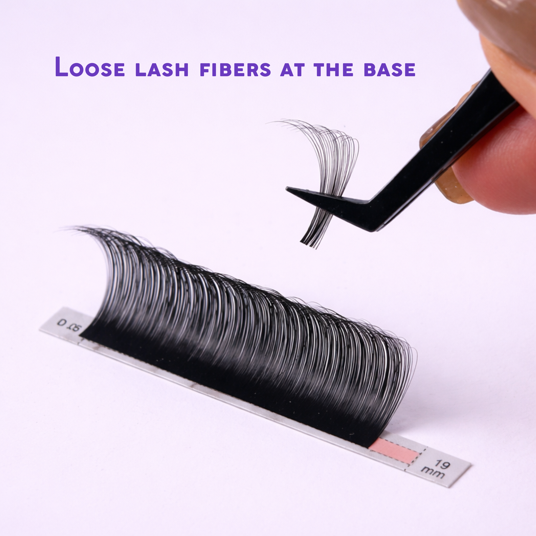 Chloe Collection Lash Extensions