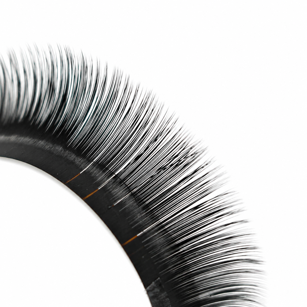 Close-up of Cashmere Noir classic lash fibers showing the soft matte black finish and lightweight lash design