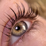Close-up view of curled natural lashes after a professional lash lift treatment