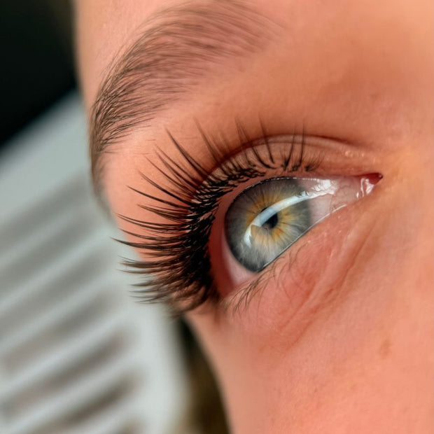 Dakr Brown Colored Lashes