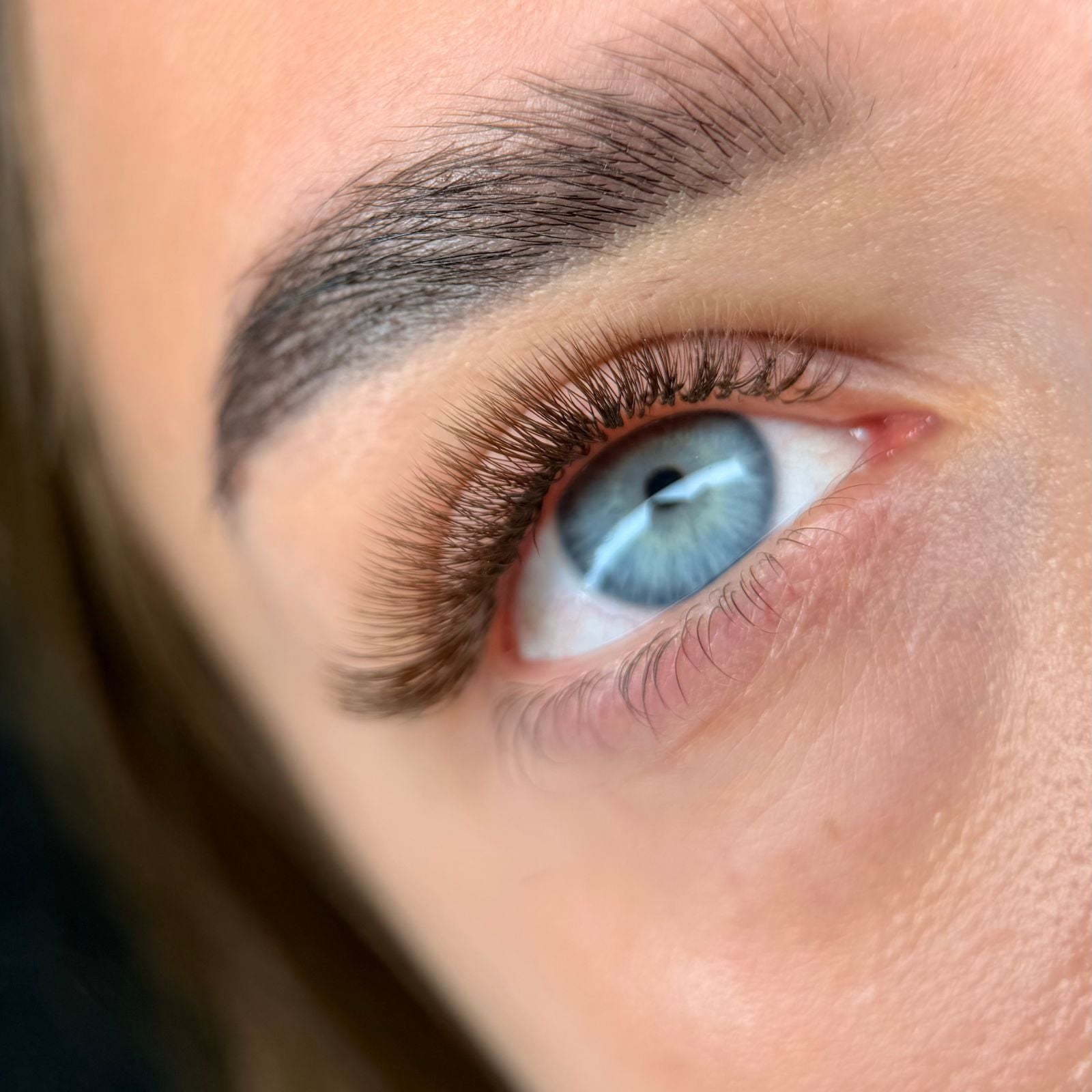Dark Brown Lashes