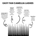 Lash extensions camellia easy fan