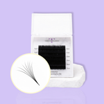 Easy Fan Lash Extensions Sample Size
