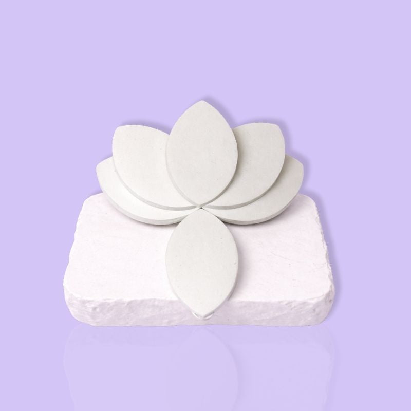 Eye-Shaped Lash Practice Sponges
