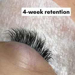 LASH RETENTION ONLINE COURSE
