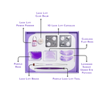 Labeled overview of the Thousand Lashes Korean Lash Lift kit showing lash lift power mix, glue balm, lash lift capsules, purple rods, flat rods, lash lift brush, lash lift tool, and lavender sunset under eye patches.