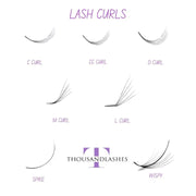 Lash Curls