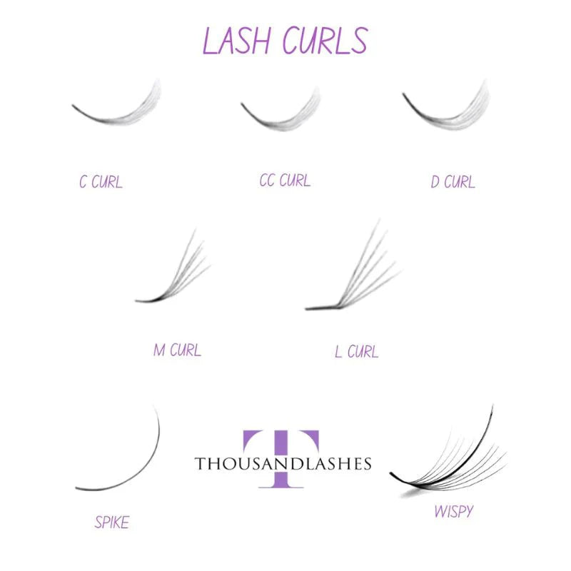 Lash Curls