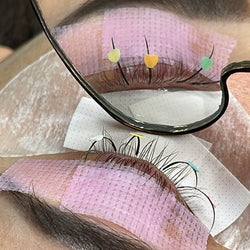 Lash Decal