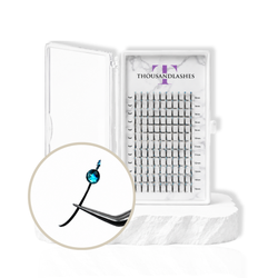 LASH DECAL TRAY