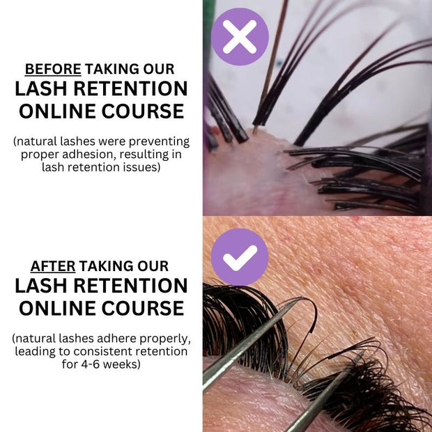 LASH RETENTION ONLINE COURSE