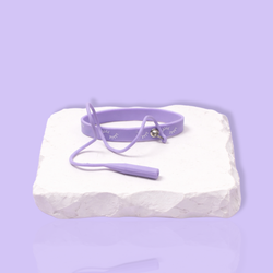 Lash tool holder