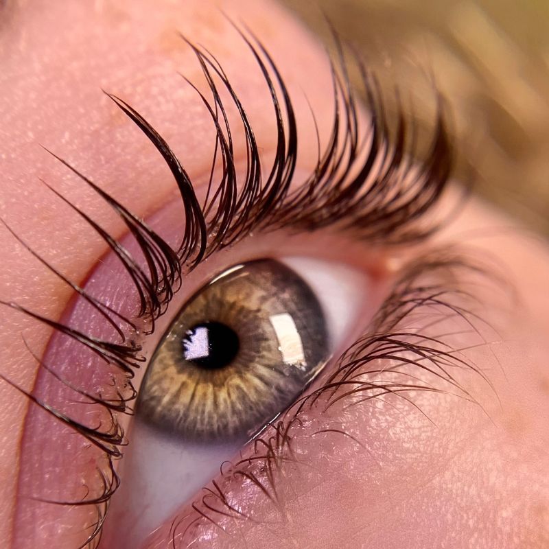 Lash lift shields