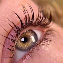 Lash lift shields