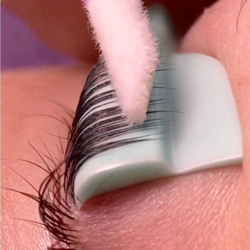 Master Korean lash lift