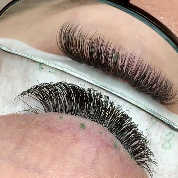 Noir Collection YY Lashes for Volume