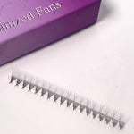 organized 3d lash fans