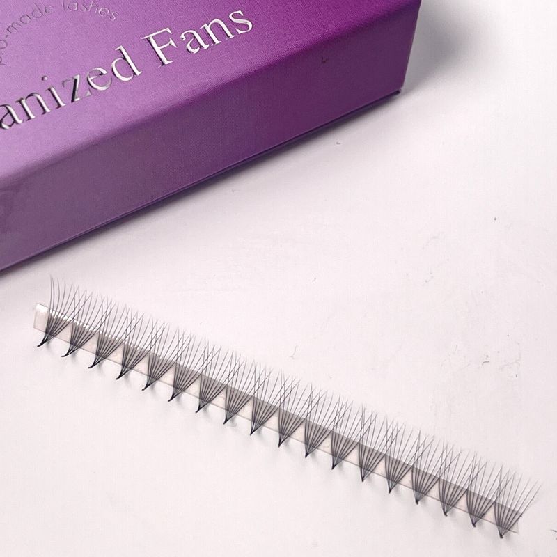 organized 3d lash fans