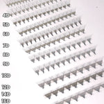 Promade Volume Lash Fans