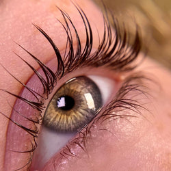 Best lash lift glue
