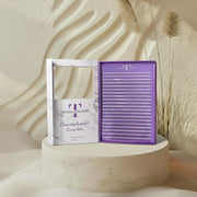 Mega Volume Lash Fans