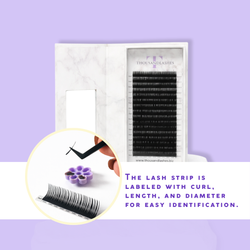 Wispy Wet Look Volume Lashes