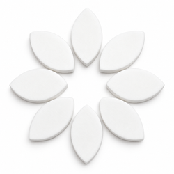 White eyelid shaped practice sponges arranged in a circular pattern for eyelash extension training and lash mapping practice.