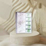 6D COLOR PROMADE LASH FANS 0.07 MIXED LENGTH 10-14MM